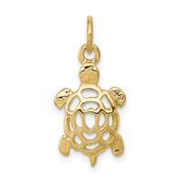 10k Turtle Charm 1