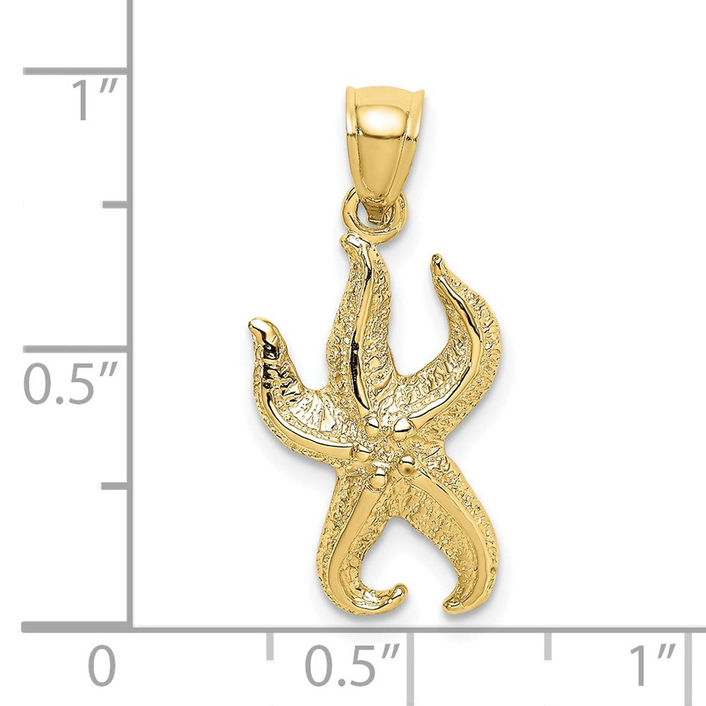 10K Textured Starfish Charm 3