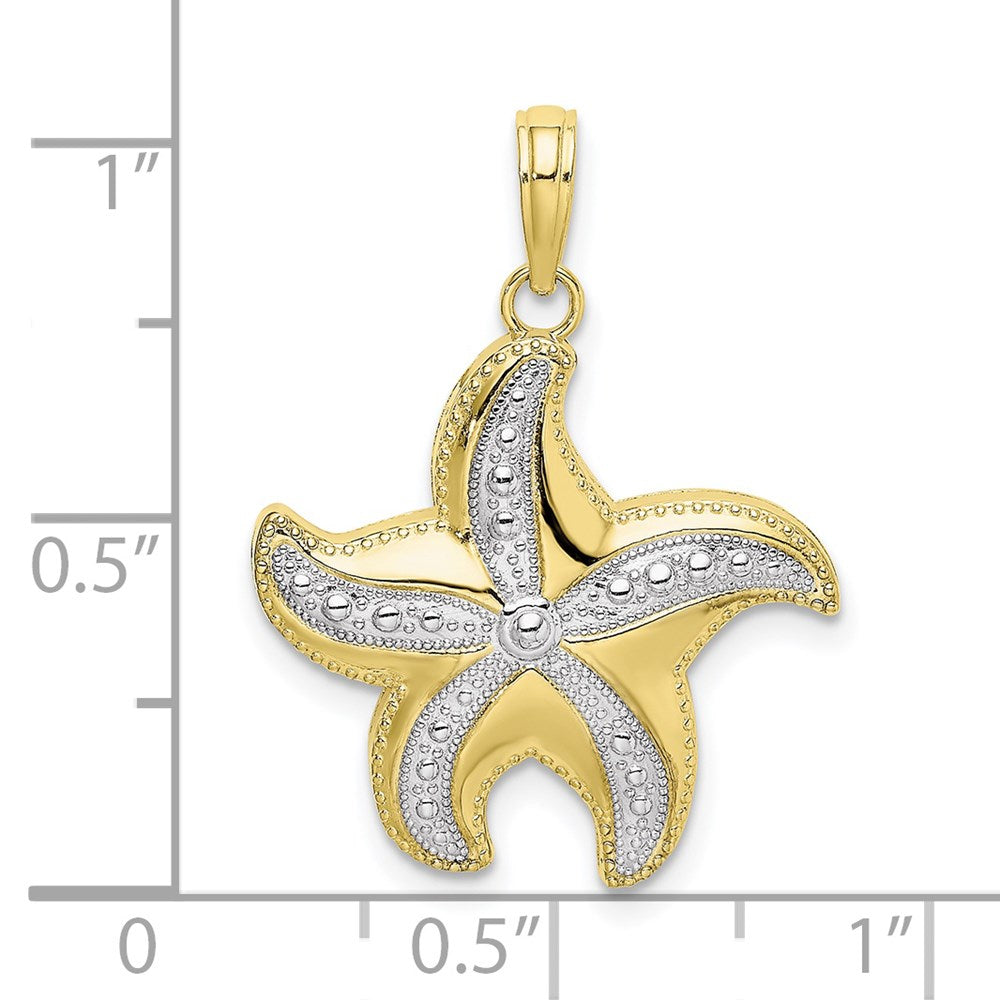 10K w/Rhodium D/C Polished Starfish Charm 3