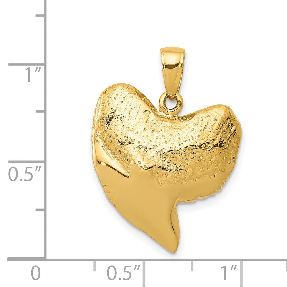 14K Solid Polished 3-D Shark Tooth Pendant 4