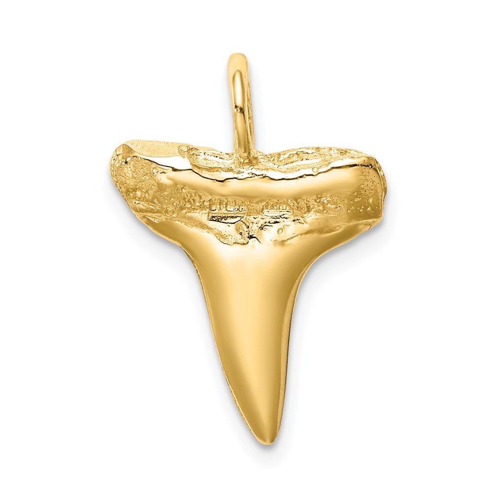 14K Shark Tooth Pendant 4