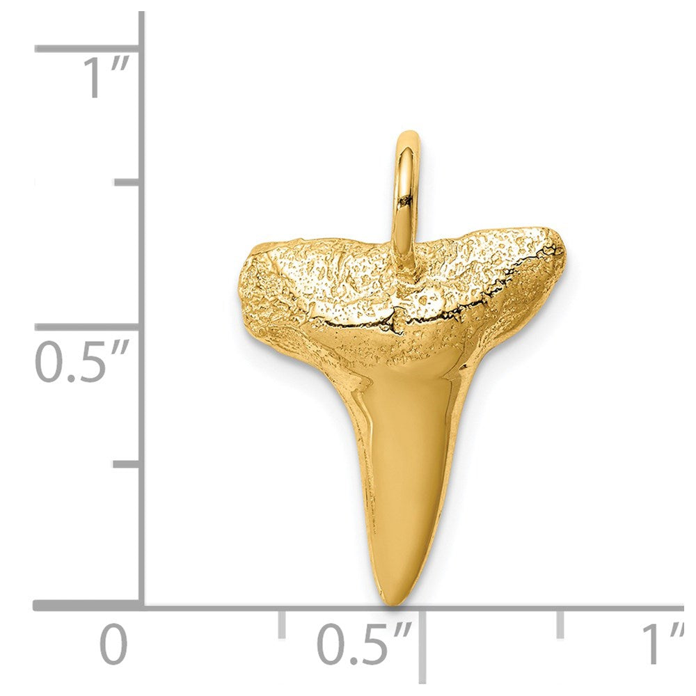 14K Shark Tooth Pendant 3