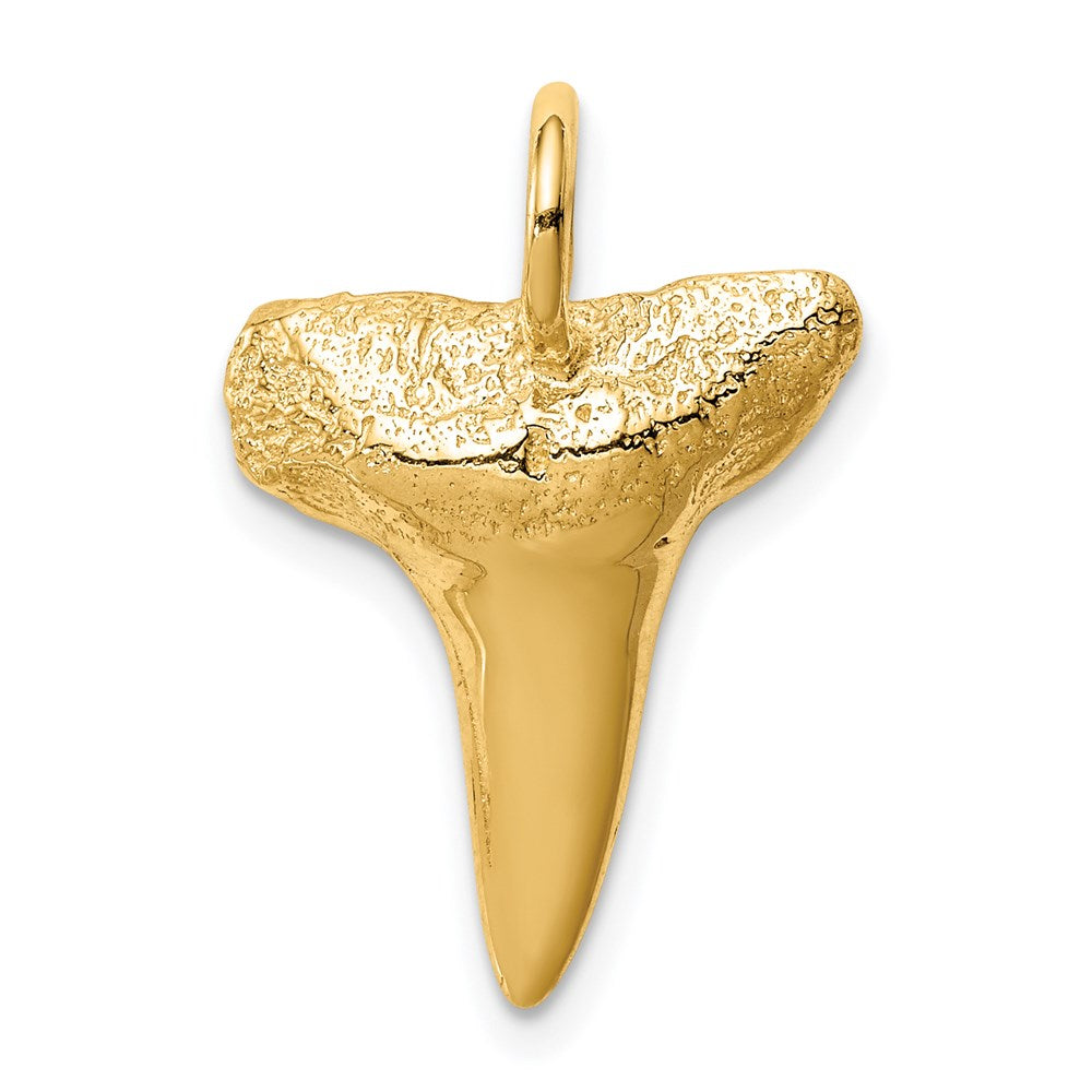 14K Shark Tooth Pendant 1