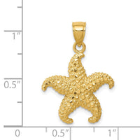 14K Starfish Pendant 4