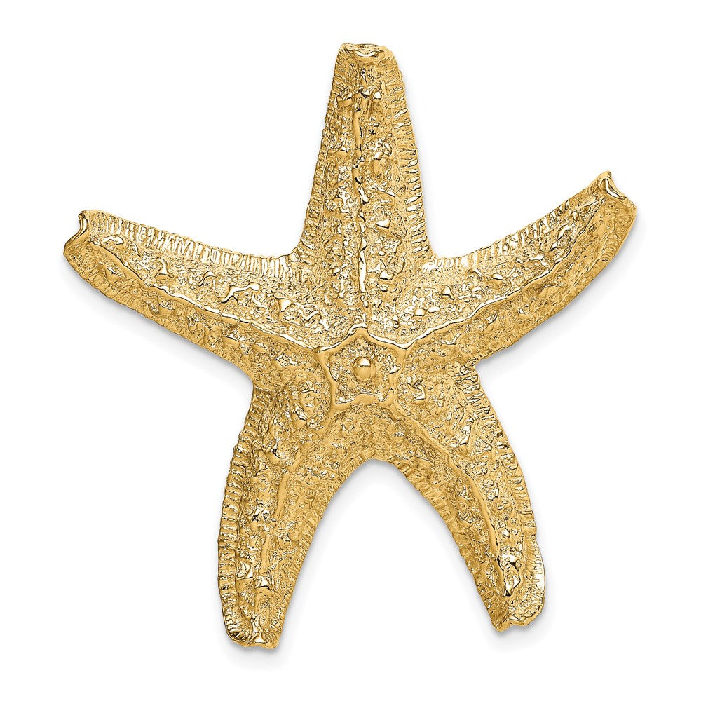 14k Starfish Slide 1