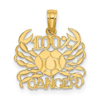 14K  100% CANCER Charm