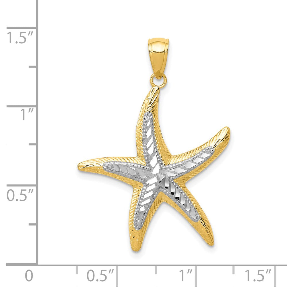 14K with White Rhodium Starfish Pendant 4