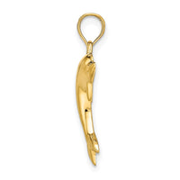 14k Polished Dolphin Charm 2