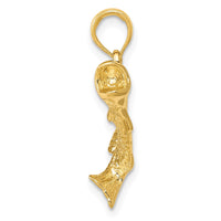 14K Gold Polished Textured Bass Fish Pendant 2