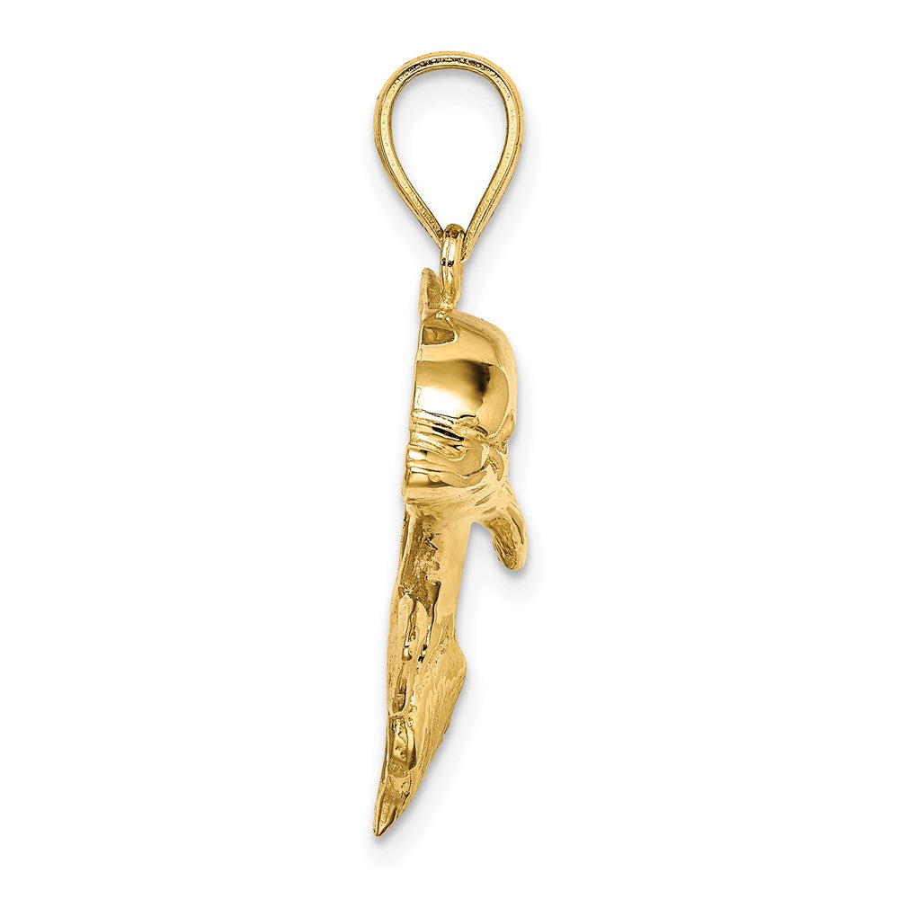 14K 2-D Polished Engraved Dolphin Charm 2