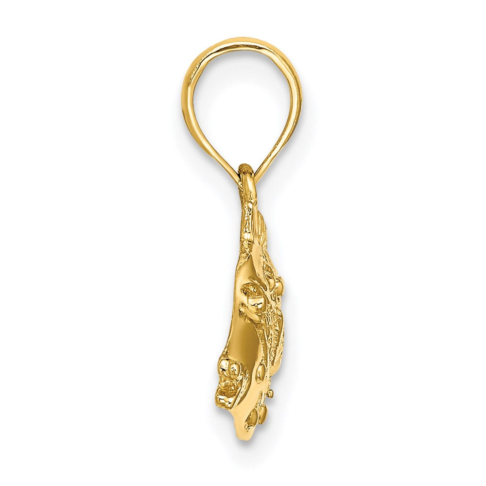 14K 2-D Polished  Engraved Fish Charm 2