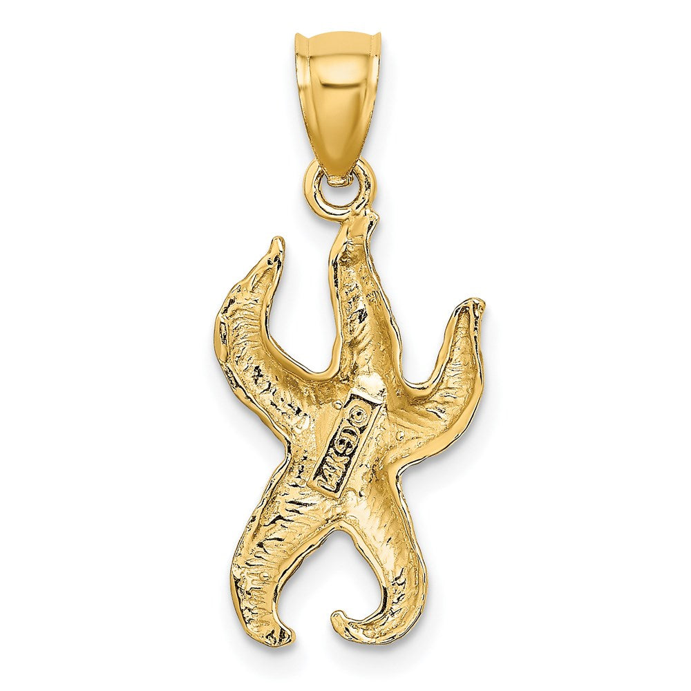 14K Textured Starfish Charm 4