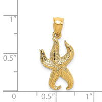 14K Textured Starfish Charm 3