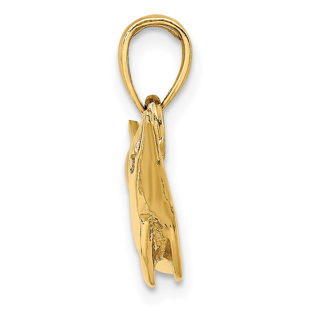 14K Polished Dolphin Charm 2