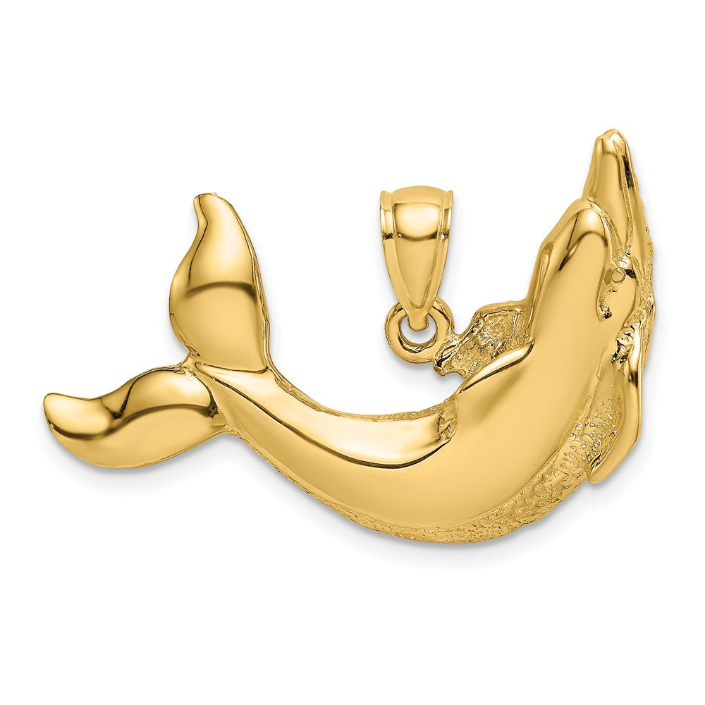 14K Polished Textured Dolphin Charm 1