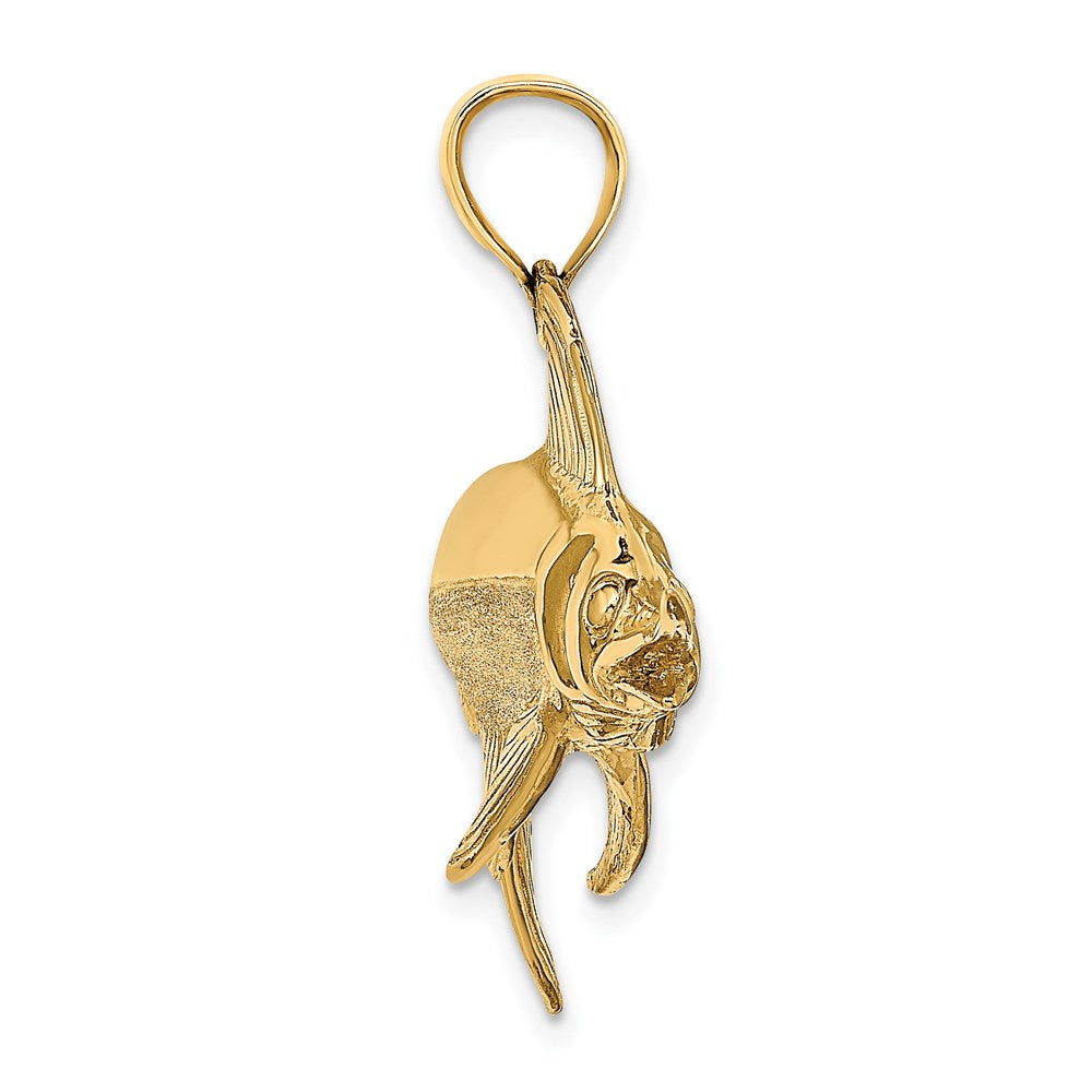 14K 3-D Polished/Satin Swordfish Charm 2