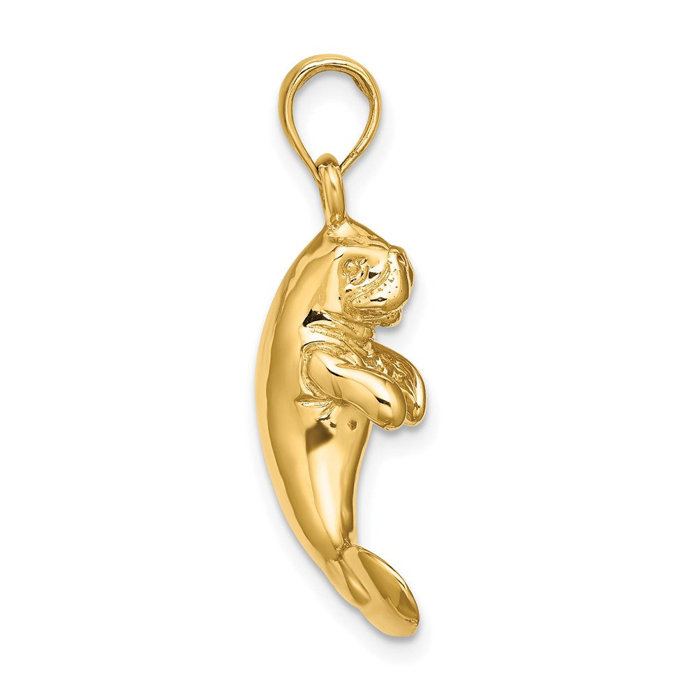 14K 3-D Polished Manatee Charm 2