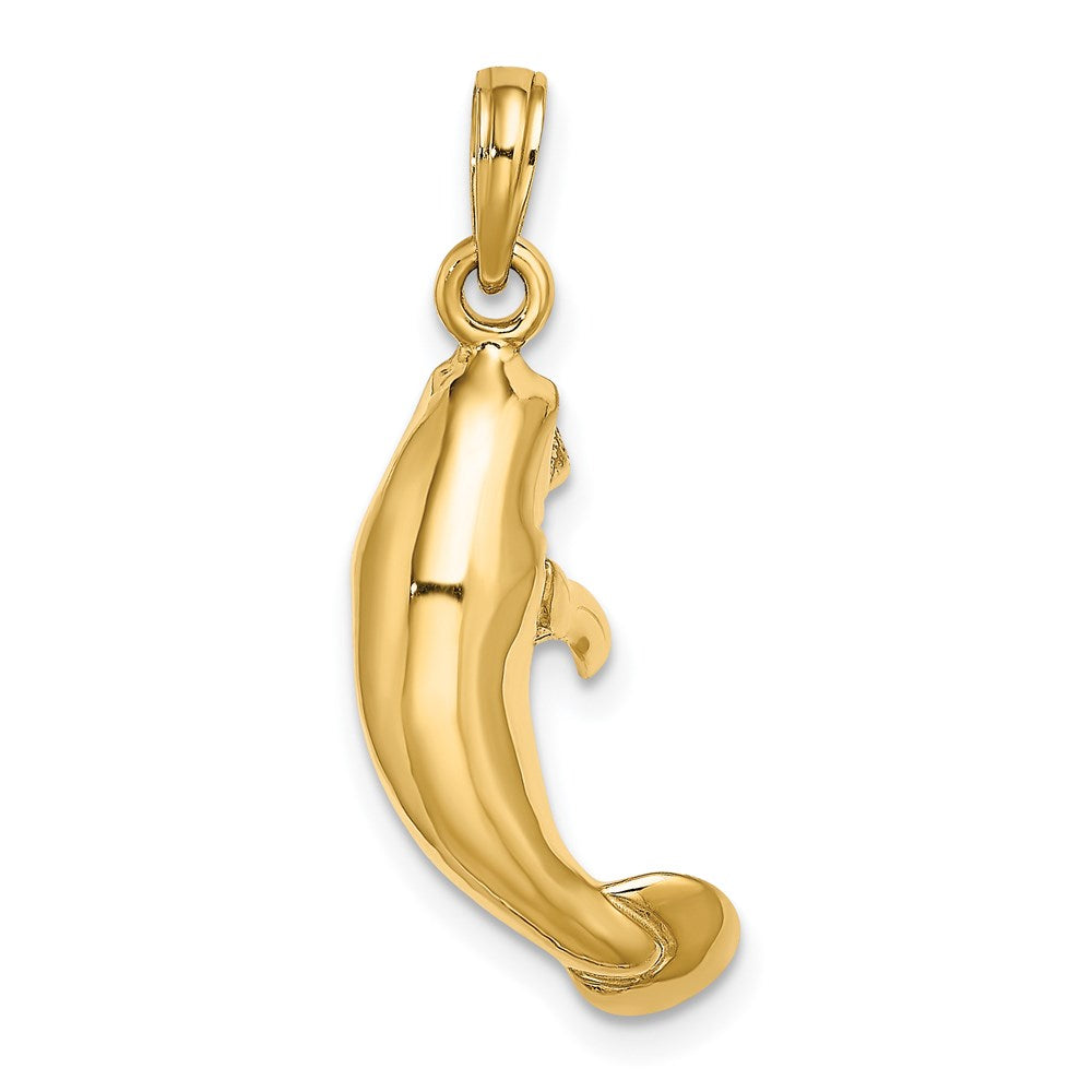 14K 3-D Polished Manatee Charm 4