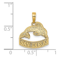 14K SAN DIEGO Banner Dolphins Charm 3