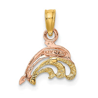 14K Two-Tone W/White Rhodium Dolphin and Wave Charm 4