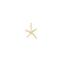 10k Dancing Starfish Charm 3